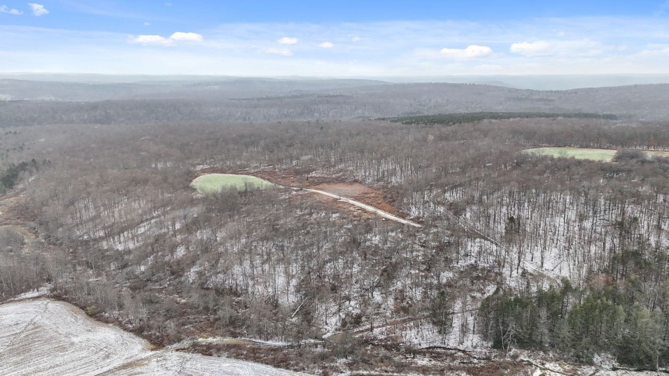 0 Lamb Road Newark Valley, NY 13811 - Photo 5 of 13