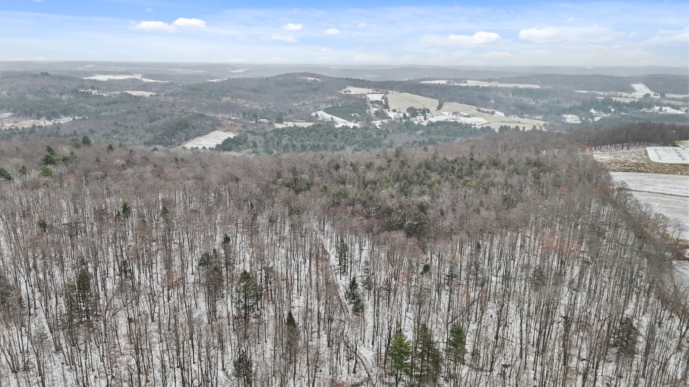 0 Lamb Road Newark Valley, NY 13811 - Photo 6 of 13