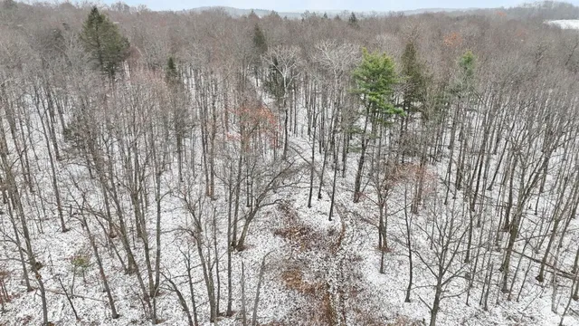 $85,000 | 0 Lamb Road, Newark Valley, NY 13811