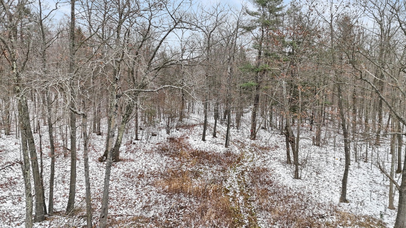 0 Lamb Road Newark Valley, NY 13811 - Photo 9 of 13