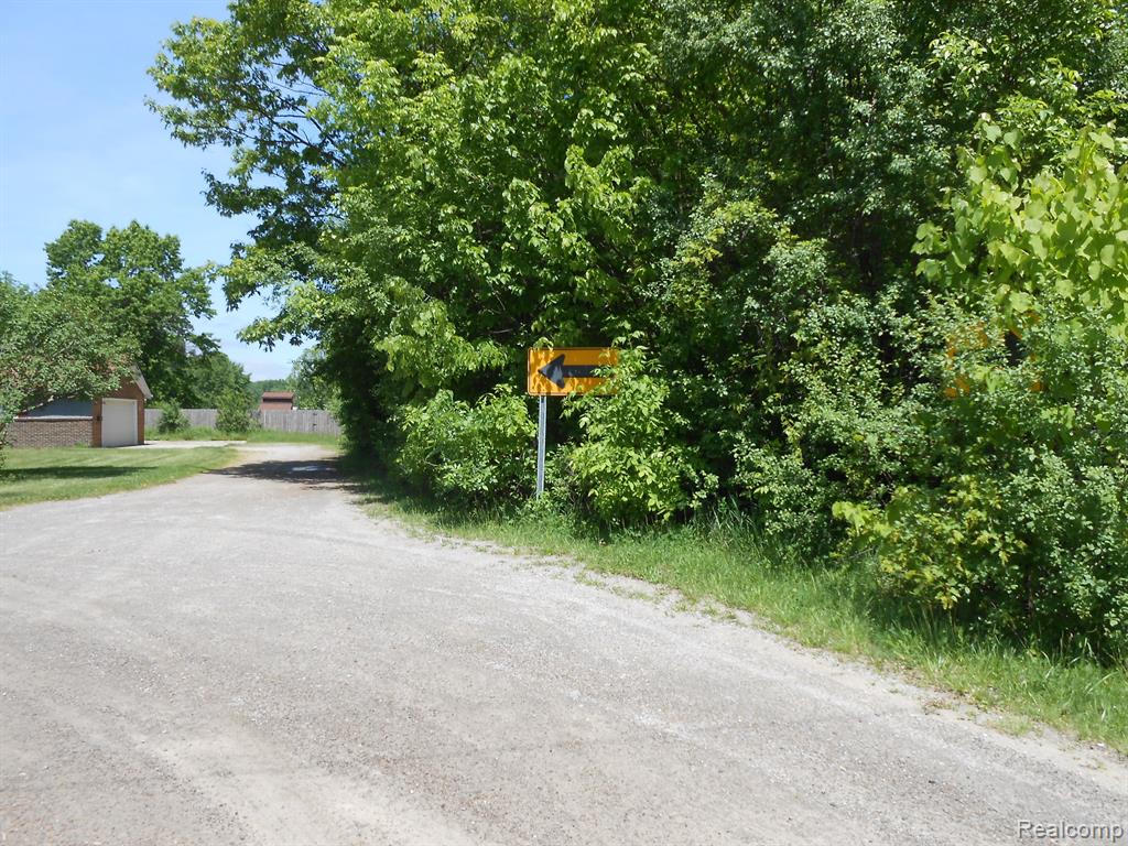 0 Oleksyn Road Flint, MI 48504 - Photo 4 of 4