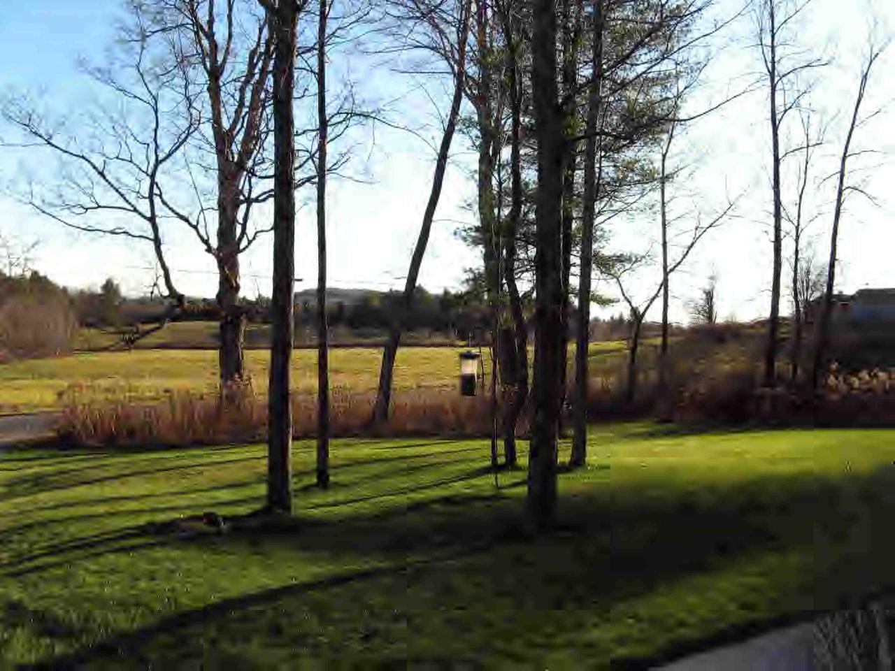 321 Smith Road Hinsdale, MA 01235 - Photo 6 of 6 Additional Photo