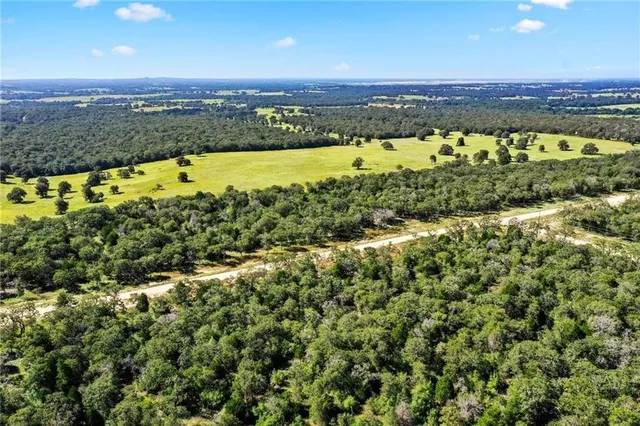 a view of a large pool with lawn chairs and large trees