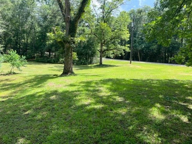 2665 Lester Bell Road Brantley, AL 36009 - Photo 31 of 48 Gallery Image 31