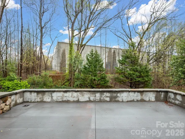 a small yard with a large tree and table in front of it