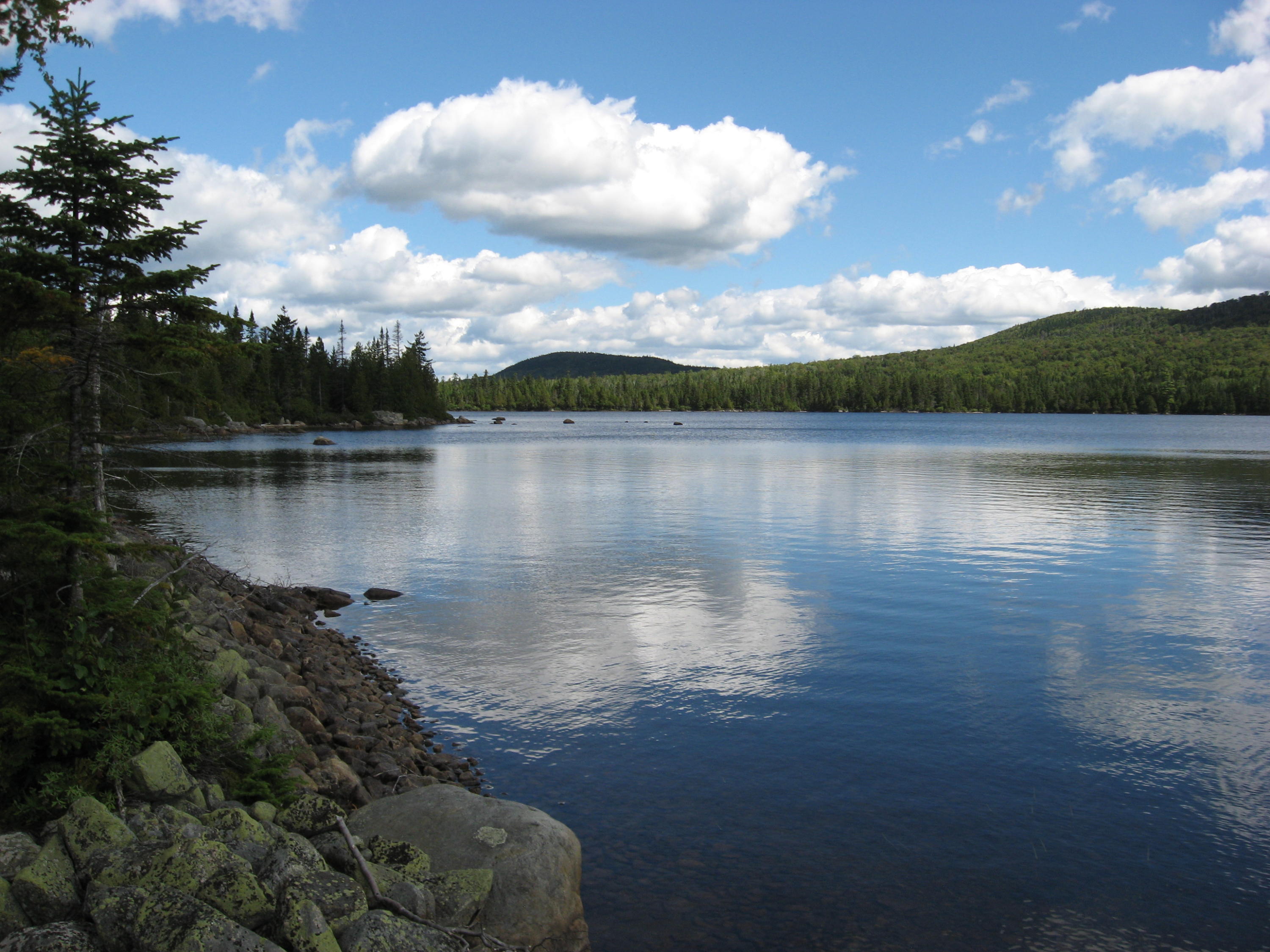 10 Racoon Lane West Forks, ME 04985 - Photo 23 of 44 shoreline-view-north_46633450065_o