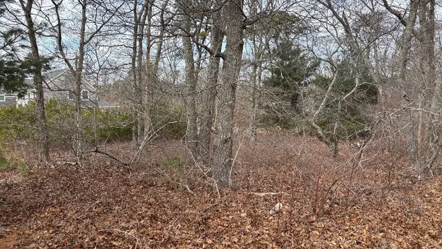 $465,000 | 0 California Avenue, Oak Bluffs, MA 02557