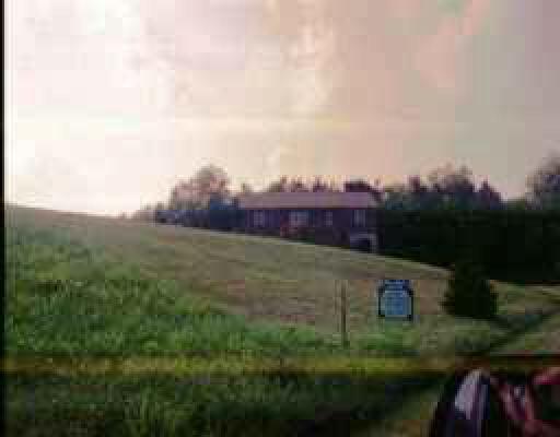 113 Rainbow Road Wirtz, VA 24184 - Photo 1 of 1 a view of yard with grass and trees