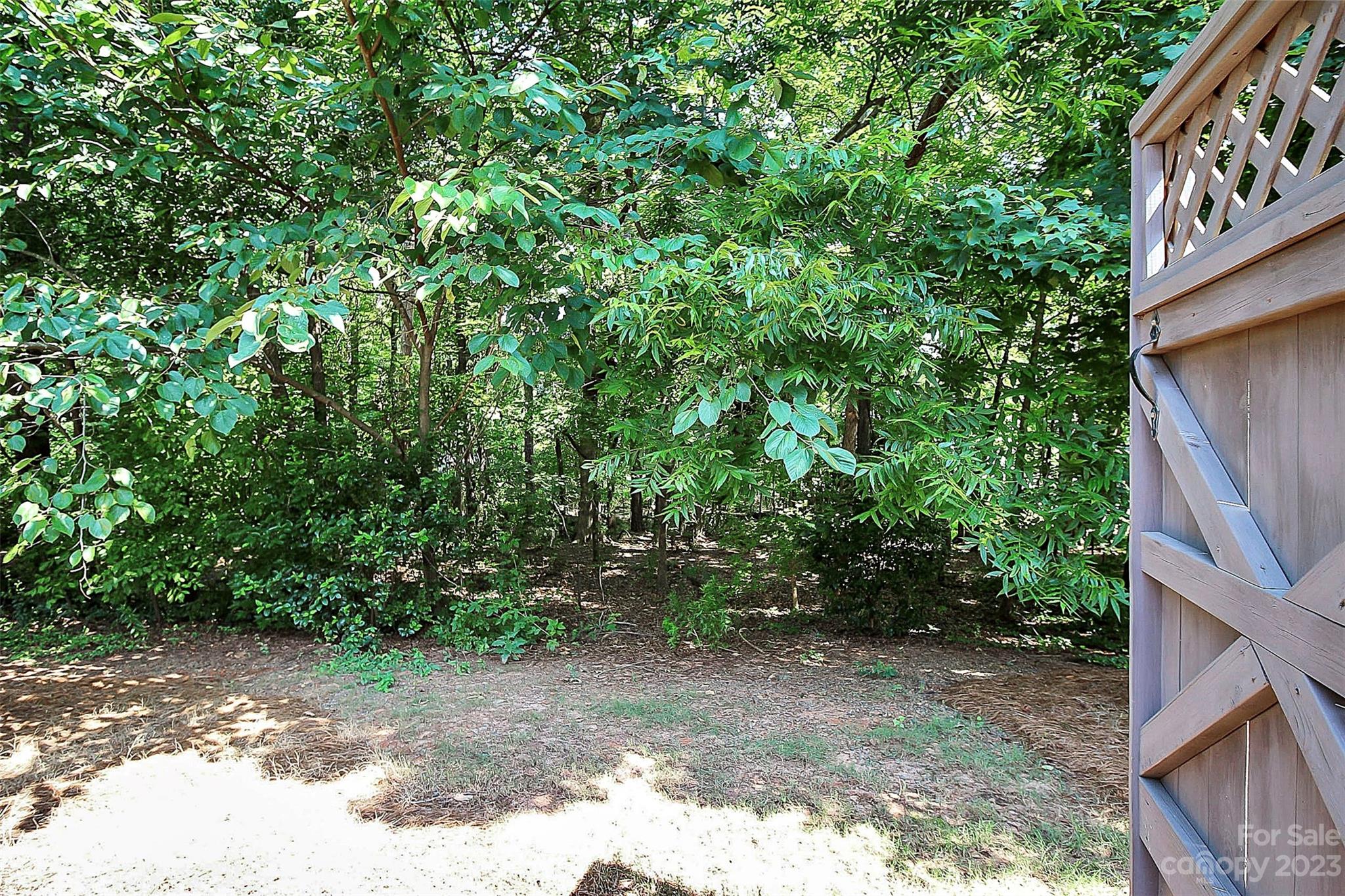 218 Robinlynn Road Matthews, NC 28105 - Photo 24 of 24 a view of a yard with plants and large trees