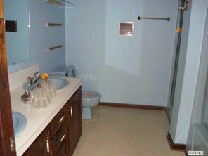 125 Bobwhite Road Cheraw, SC 29520 - Photo 6 of 6 a bathroom with a sink toilet and vanity