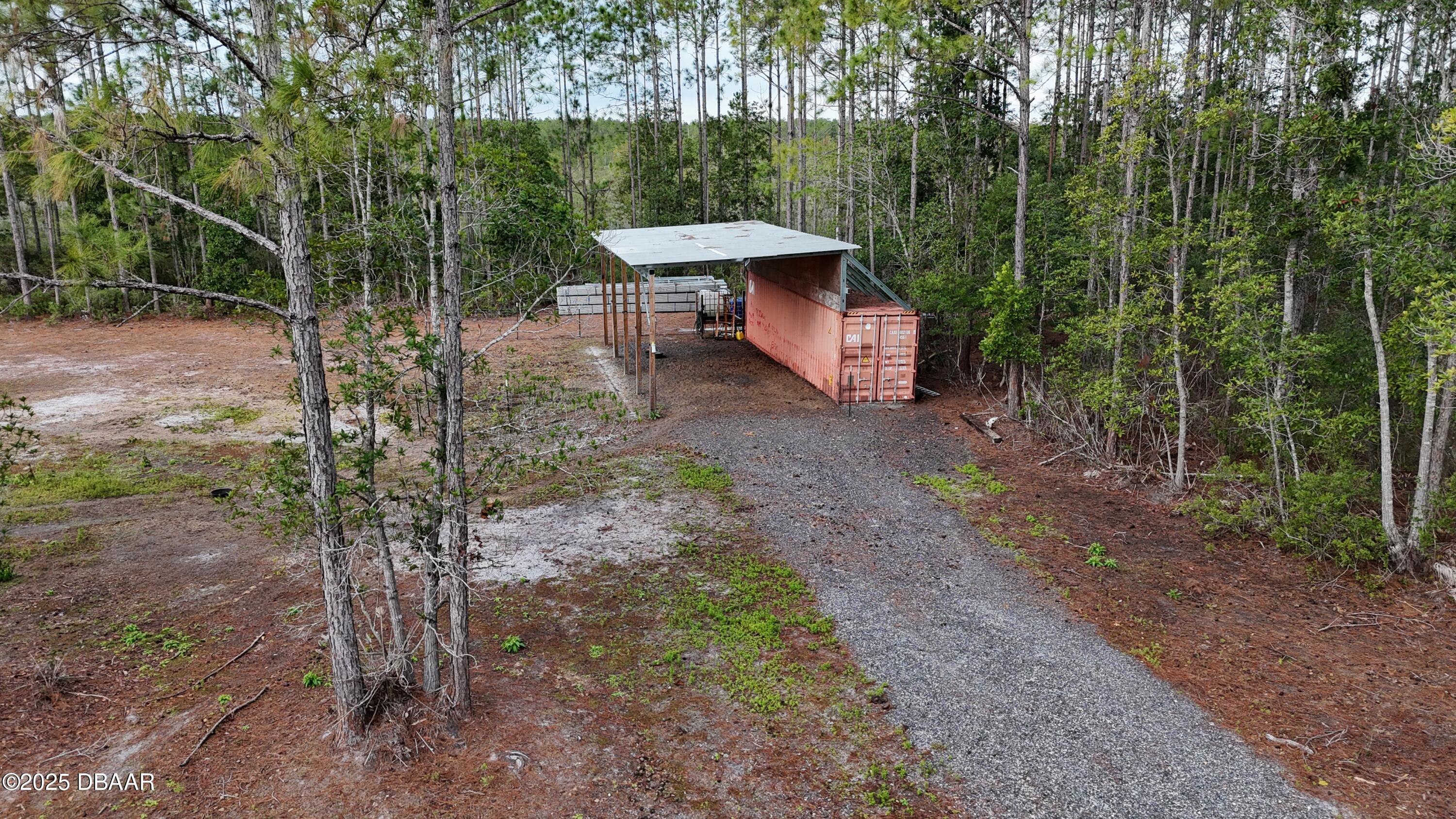 810 Wild Cur Road Pierson, FL 32180 - Photo 11 of 14 a view of a wooden bench sitting in the middle of a forest