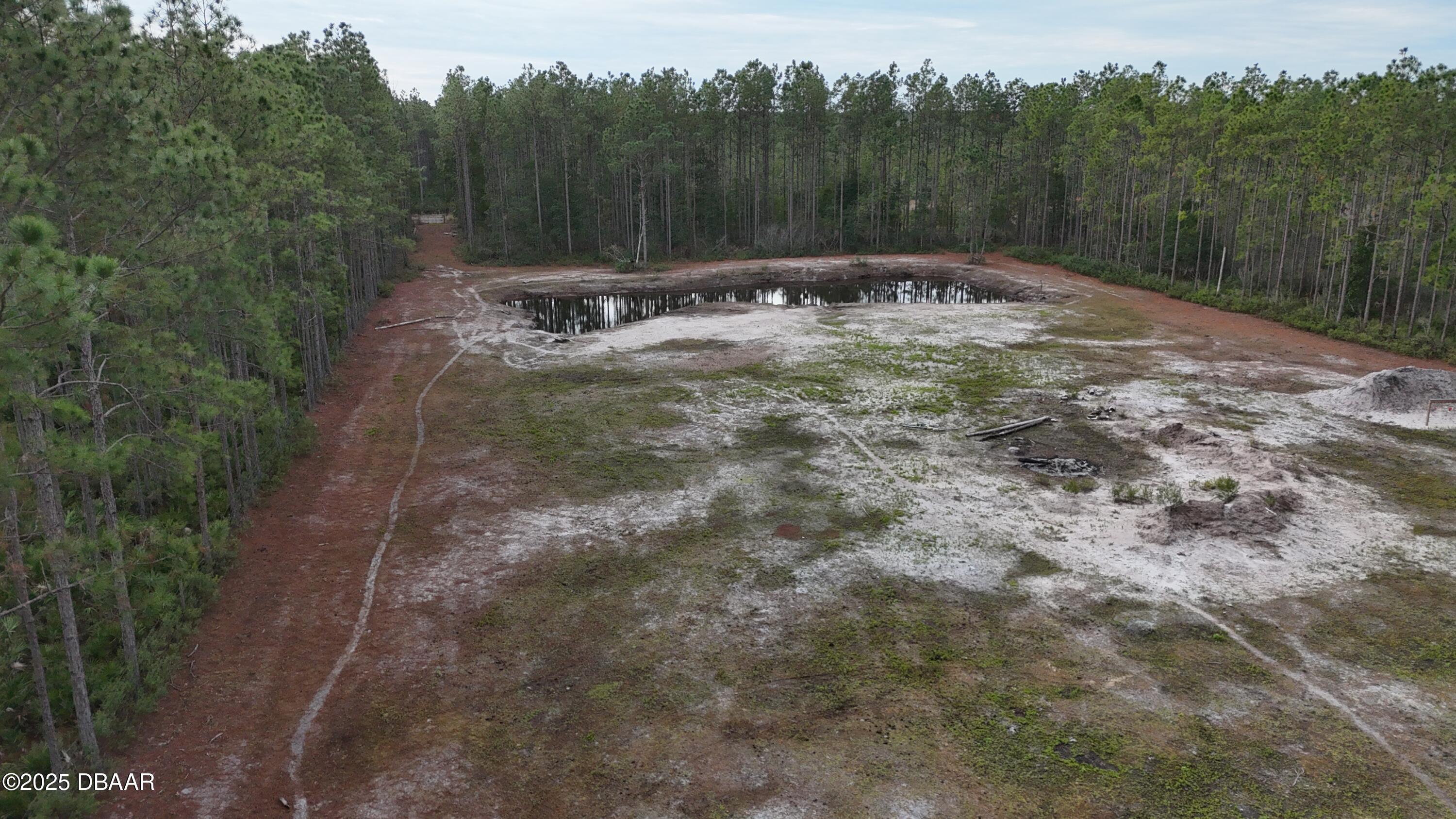 810 Wild Cur Road Pierson, FL 32180 - Photo 13 of 14 a view of a backyard
