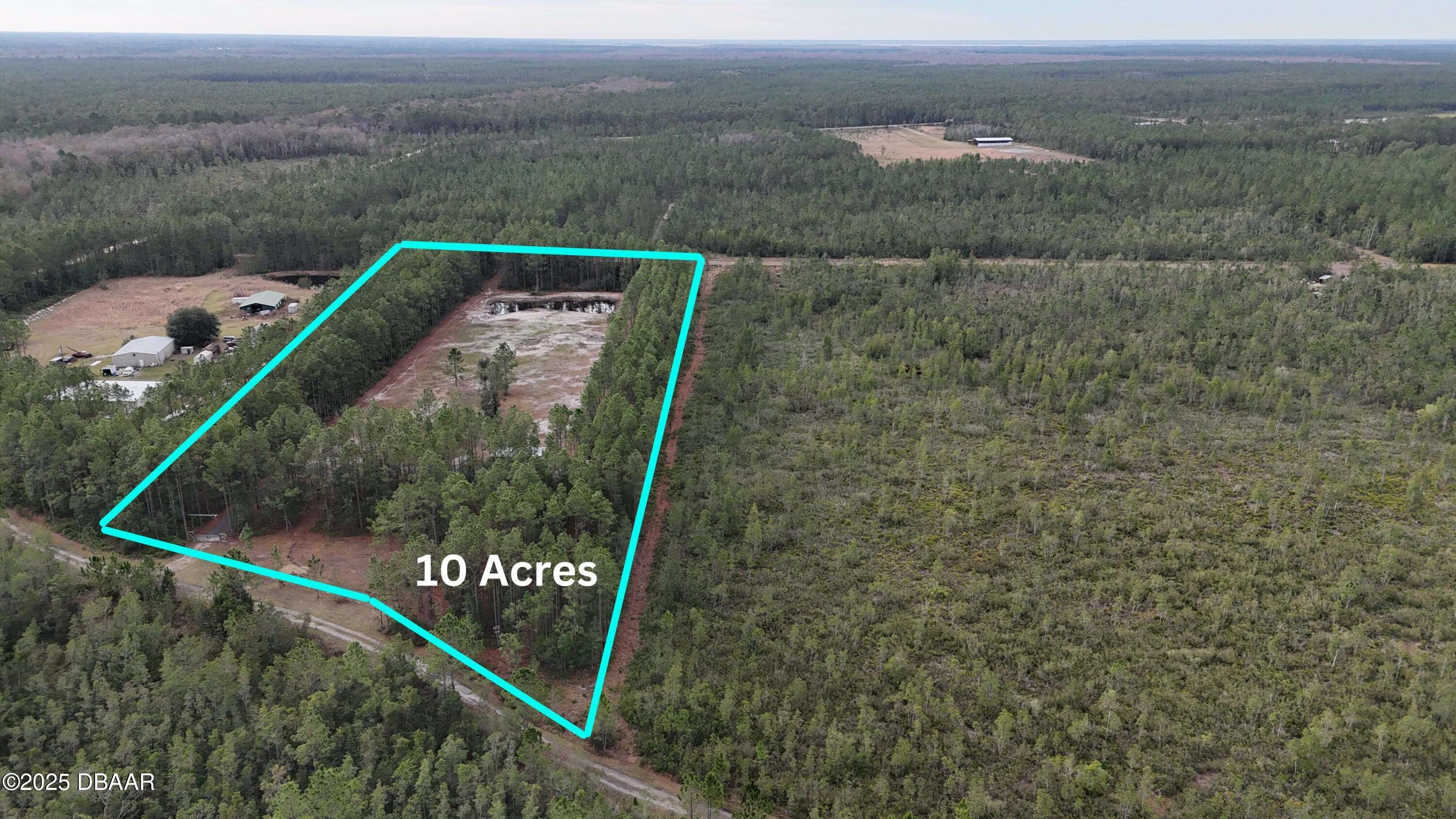 810 Wild Cur Road Pierson, FL 32180 - Photo 3 of 14 a view of a small yard