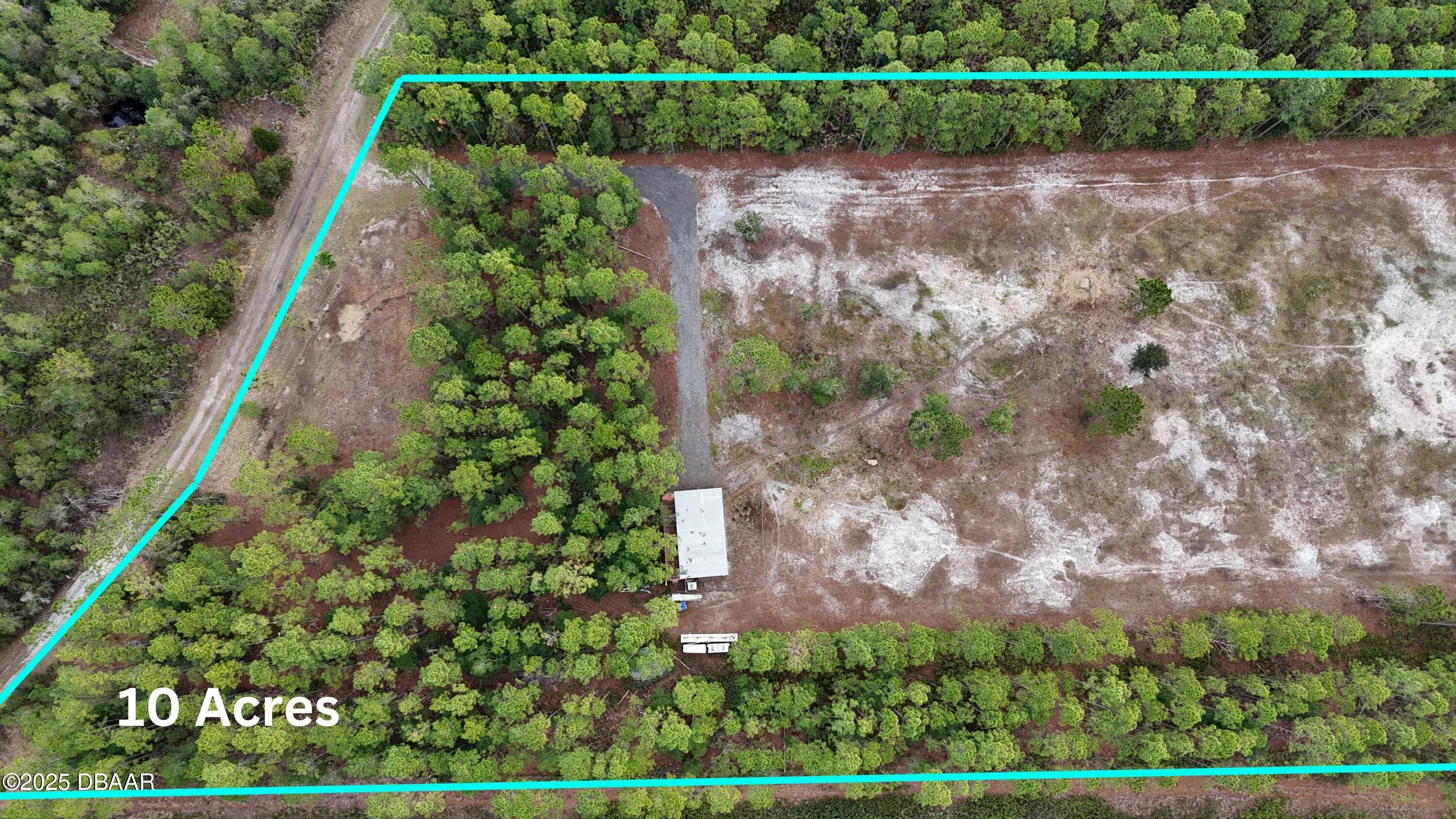 810 Wild Cur Road Pierson, FL 32180 - Photo 5 of 14 a view of a yard