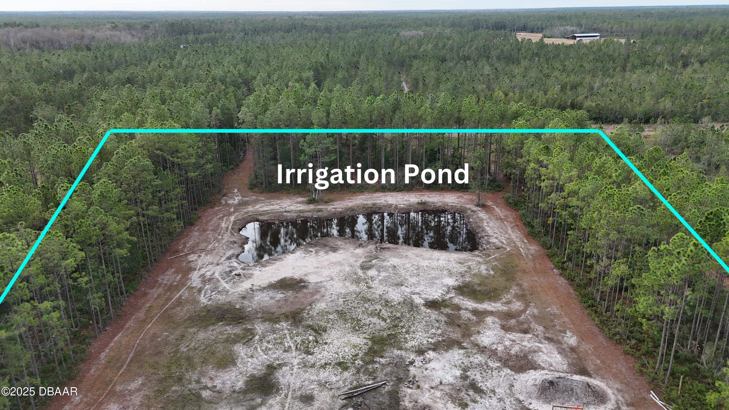 810 Wild Cur Road Pierson, FL 32180 - Photo 6 of 14 a view of a pathway with a wrought fence