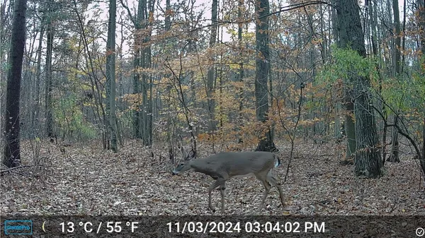 $109,000 | 0 East 56th Street, Newaygo, MI 49337