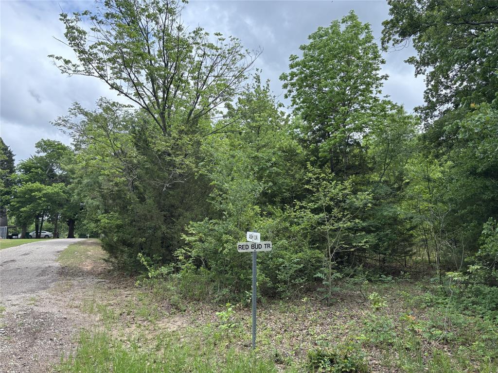 Tbd Redbud Trail Quinlan, TX 75474 - Photo 1 of 3 a view of a forest with a tree