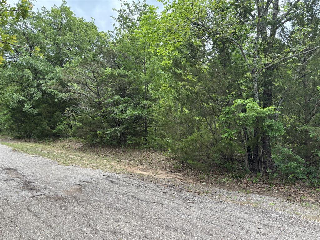 Tbd Redbud Trail Quinlan, TX 75474 - Photo 2 of 3 a view of a yard with a tree