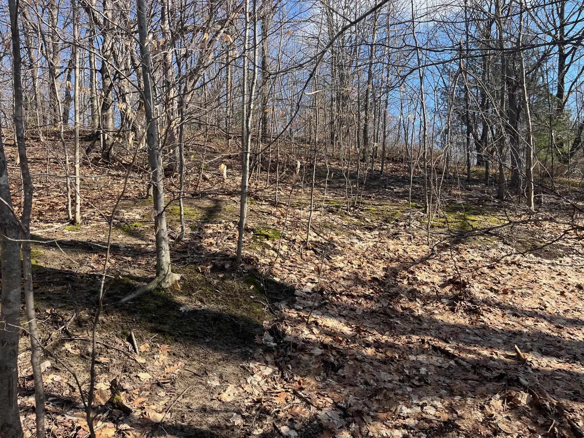 0 South Sugar Loaf Mountain Road Cedar, MI 49621 - Photo 5 of 13 1919258-0f4504b4-d633-4d1c-b11f-02c79909a841.JPG