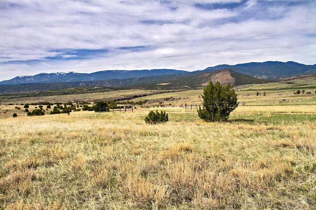 Tbd Garrett Road Beulah, CO 81023 - Photo 7 of 42 Gallery Image 7