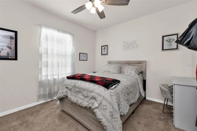 a view of a swimming pool with a lawn chairs and plants