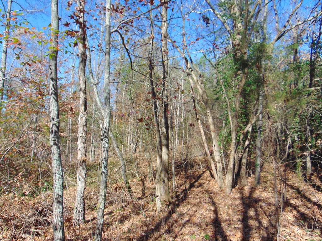 463 Co Road Englewood, TN 37329 - Photo 13 of 28