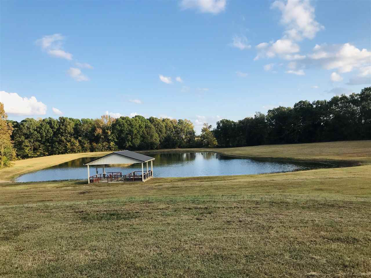 3621 Mercer Road Brownsville, TN 38012 - Photo 1 of 1 Photo 1
