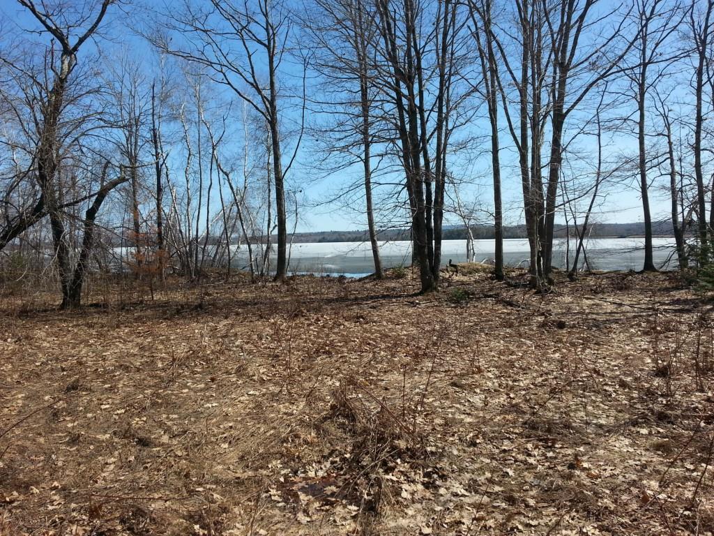 0 Etna Road Plymouth, ME 04969 - Photo 1 of 8 Photo