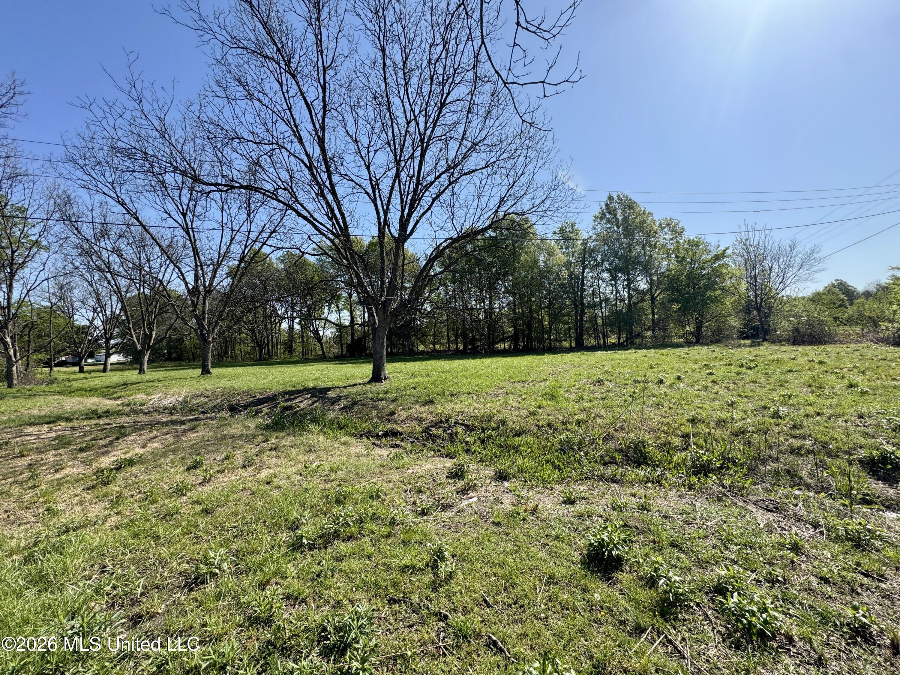 17965 Highway 61 Lyon, MS 38645 - Photo 20 of 25 IMG_2284