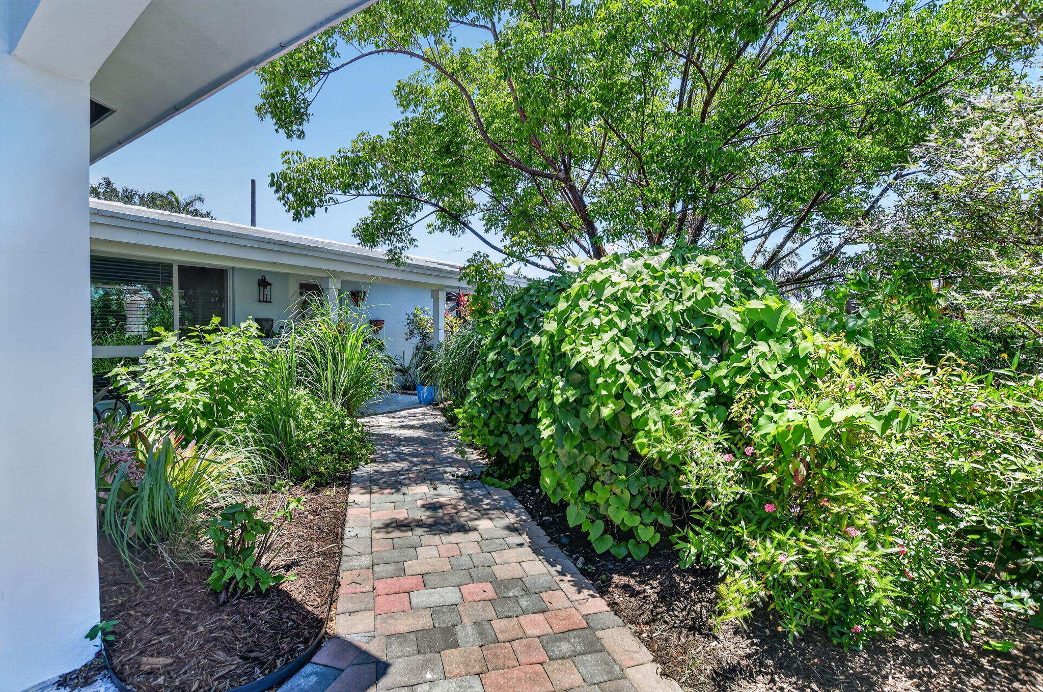 807 Southwest 3rd Street Boca Raton, FL 33486 - Photo 4 of 49 4-web-or-mls-DSC_99999 (329)