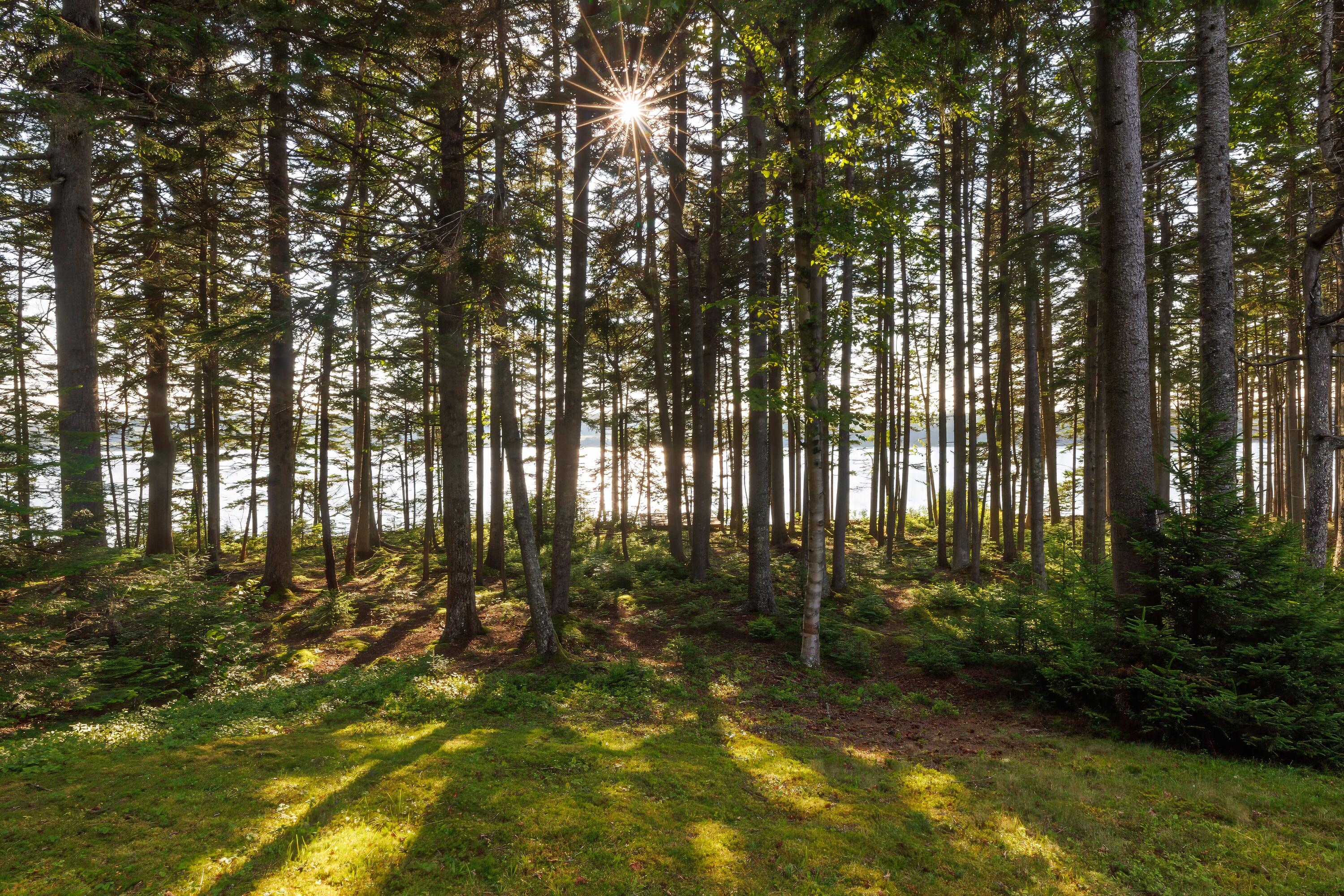 1079 Windward Way Addison, ME 04606 - Photo 30 of 44 12-1079 Windward Way HiRes-DTP