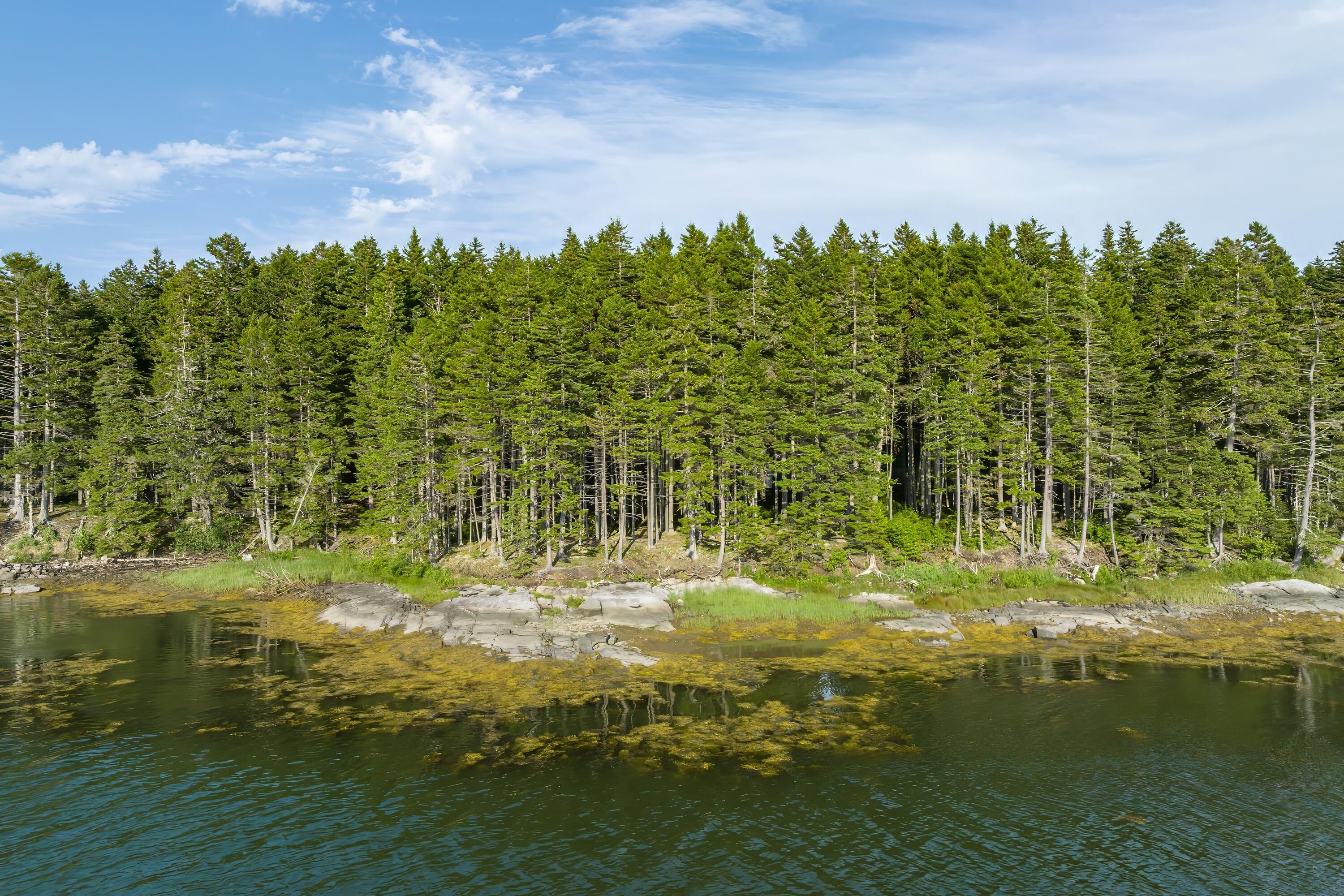 1079 Windward Way Addison, ME 04606 - Photo 37 of 44 46-1079 Windward Way HiRes-DTP