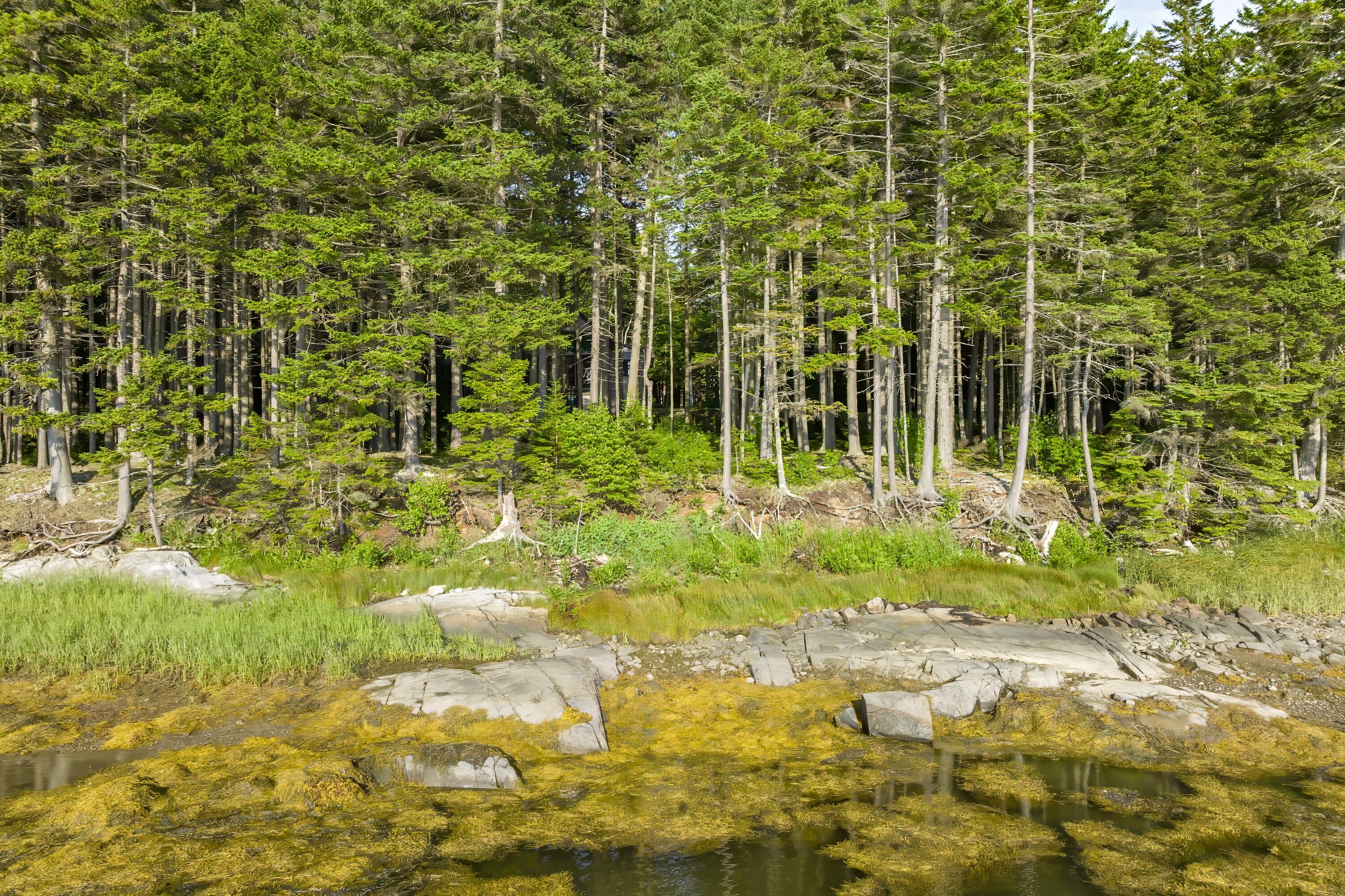 1079 Windward Way Addison, ME 04606 - Photo 39 of 44 49-1079 Windward Way HiRes-DTP