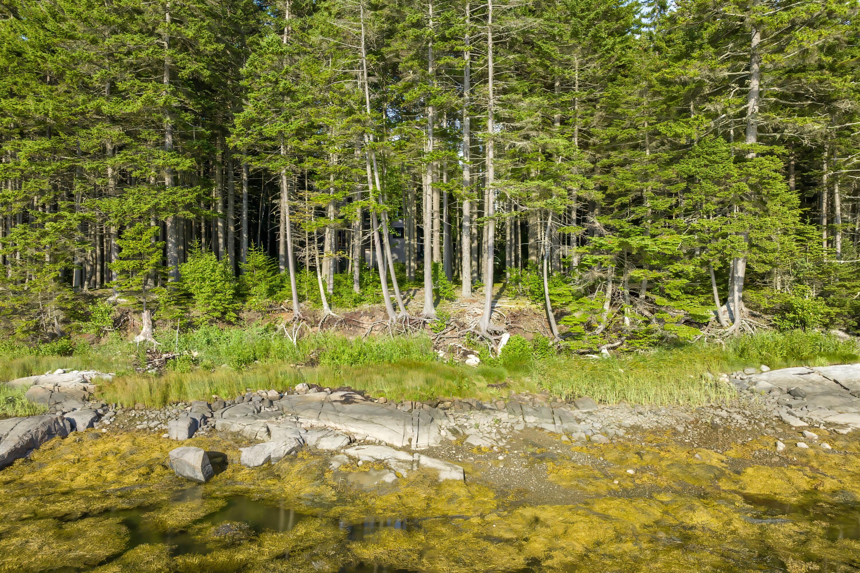 1079 Windward Way Addison, ME 04606 - Photo 40 of 44 48-1079 Windward Way HiRes-DTP