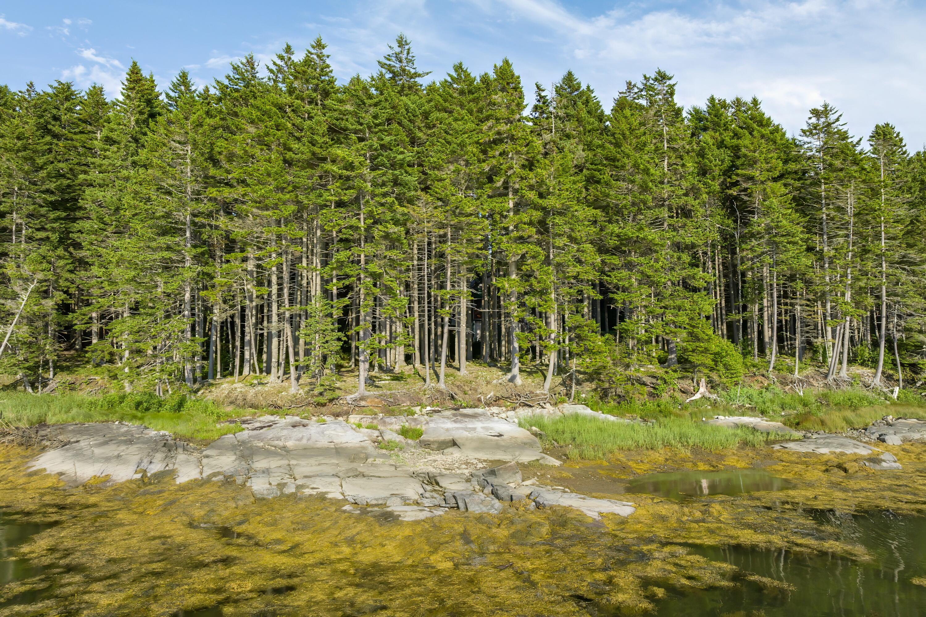 1079 Windward Way Addison, ME 04606 - Photo 42 of 44 50-1079 Windward Way HiRes-DTP