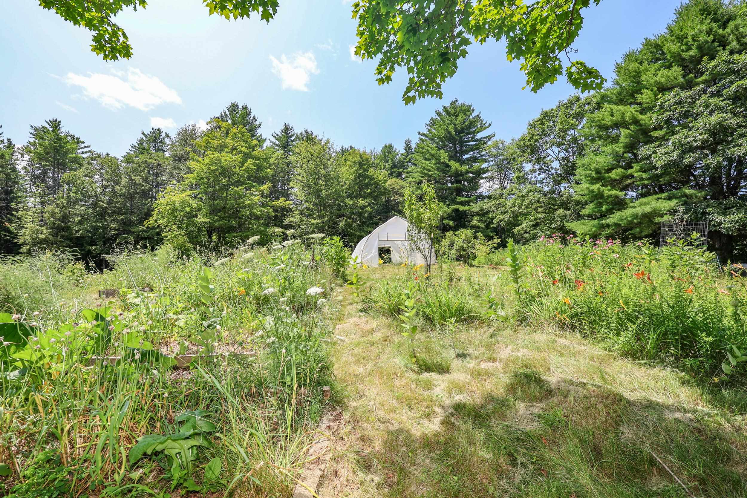 558 East Deering Road Deering, NH 03244 - Photo 43 of 50 Gallery Image 43