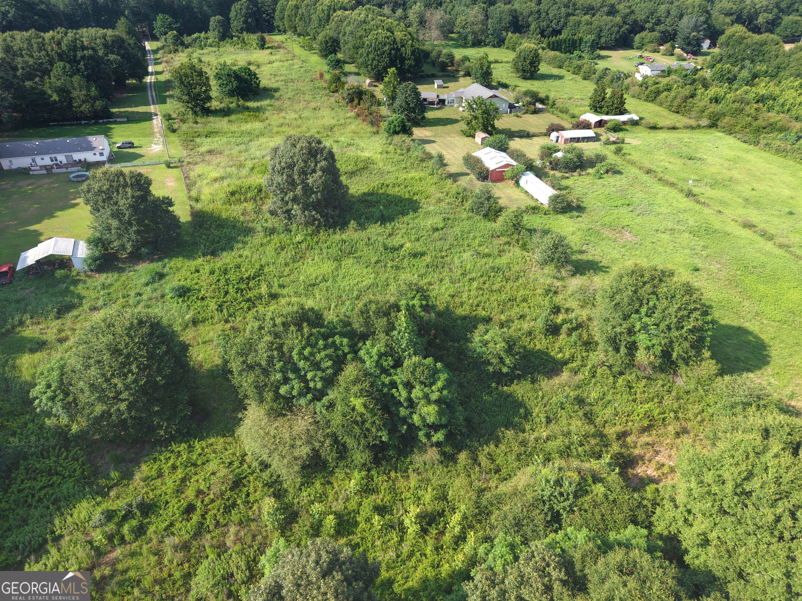 0 Zellner Road Culloden, GA 31016 - Photo 10 of 15