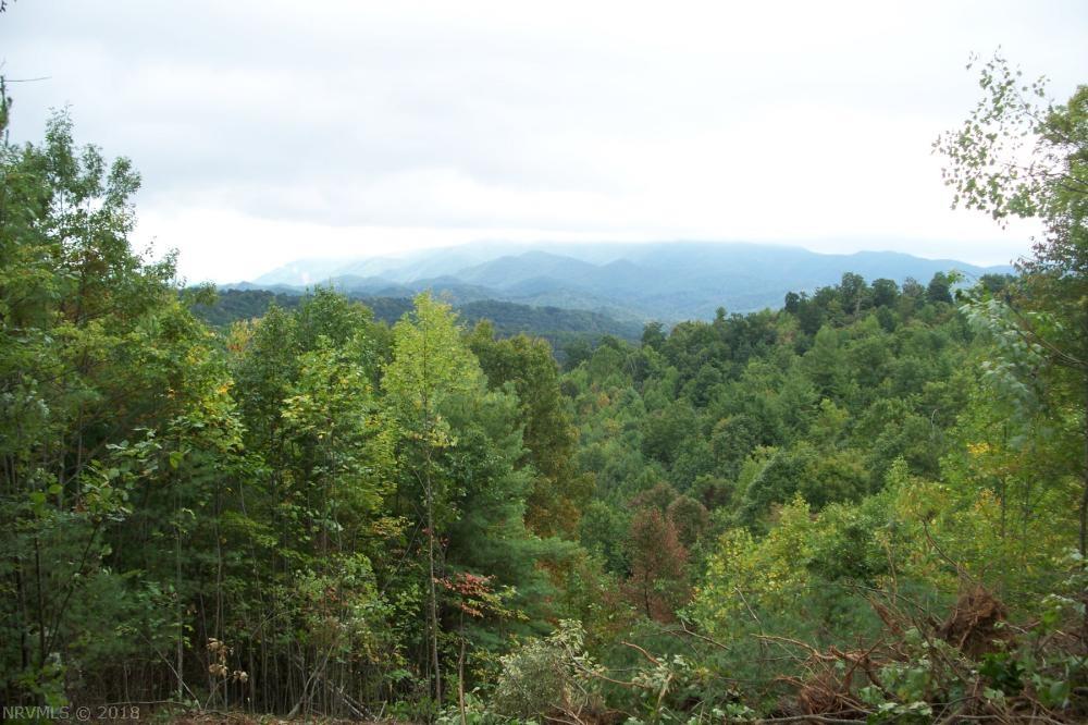 Lot 4-5 Fishers View Road Shawsville, VA 24162 - Photo 3 of 26 Gallery Image 3