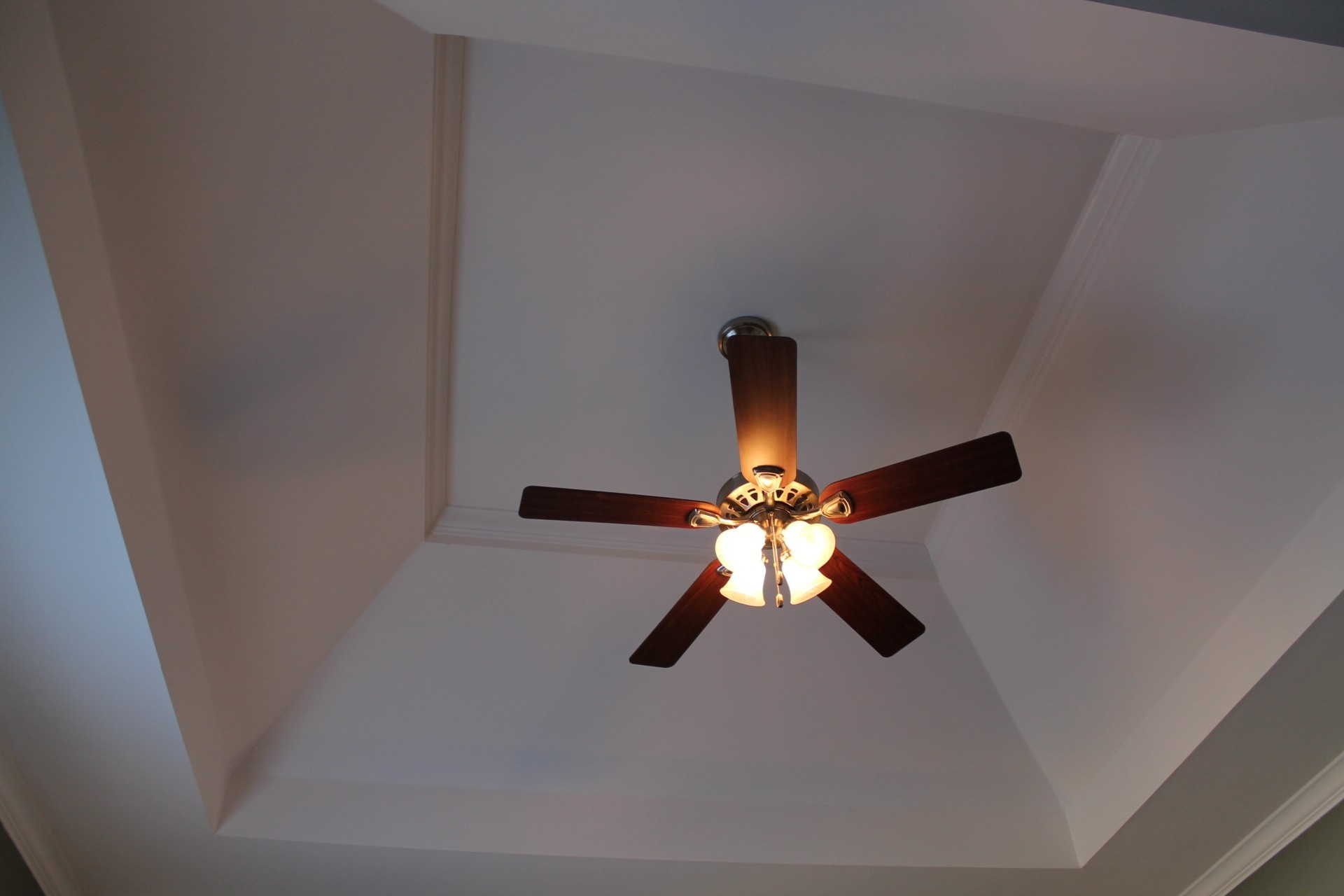 608 Fowler Ford Road Portland, TN 37148 - Photo 6 of 50 a close view of light fixtures