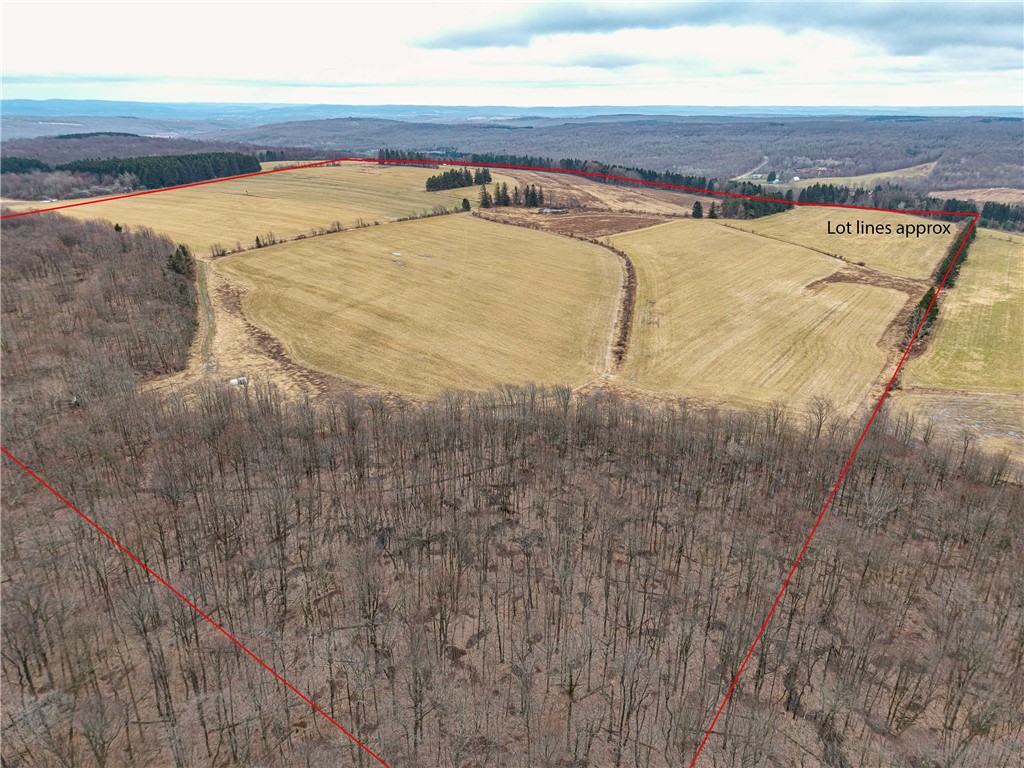 Engdahl Road Sinclairville, NY 14782 - Photo 1 of 41