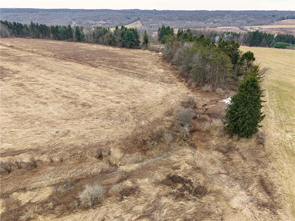 Engdahl Road Sinclairville, NY 14782 - Photo 11 of 41