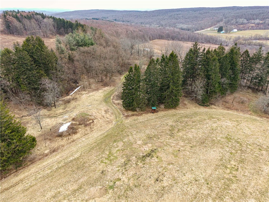 Engdahl Road Sinclairville, NY 14782 - Photo 12 of 41
