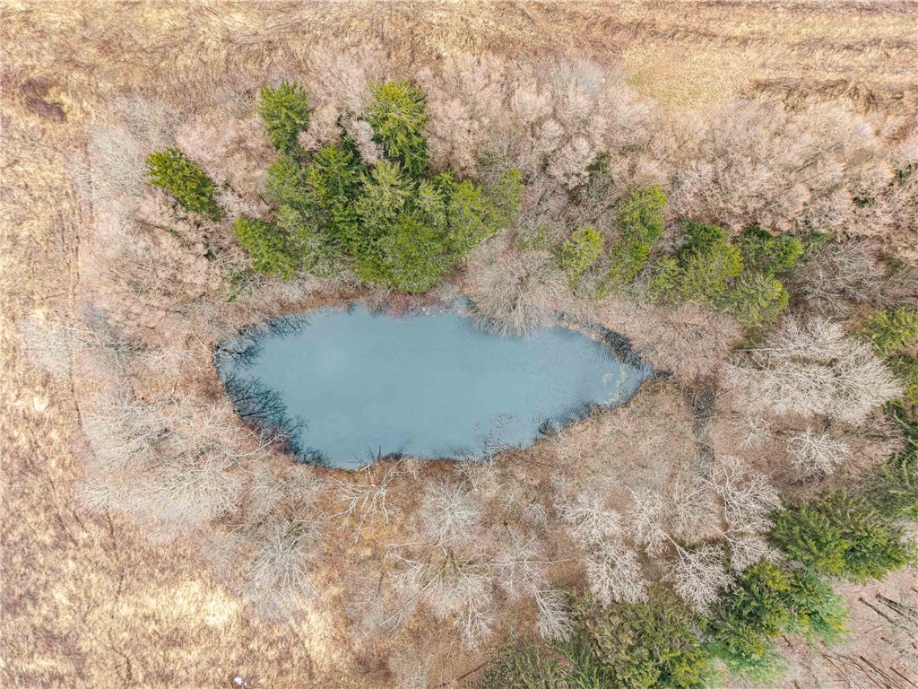 Engdahl Road Sinclairville, NY 14782 - Photo 18 of 41