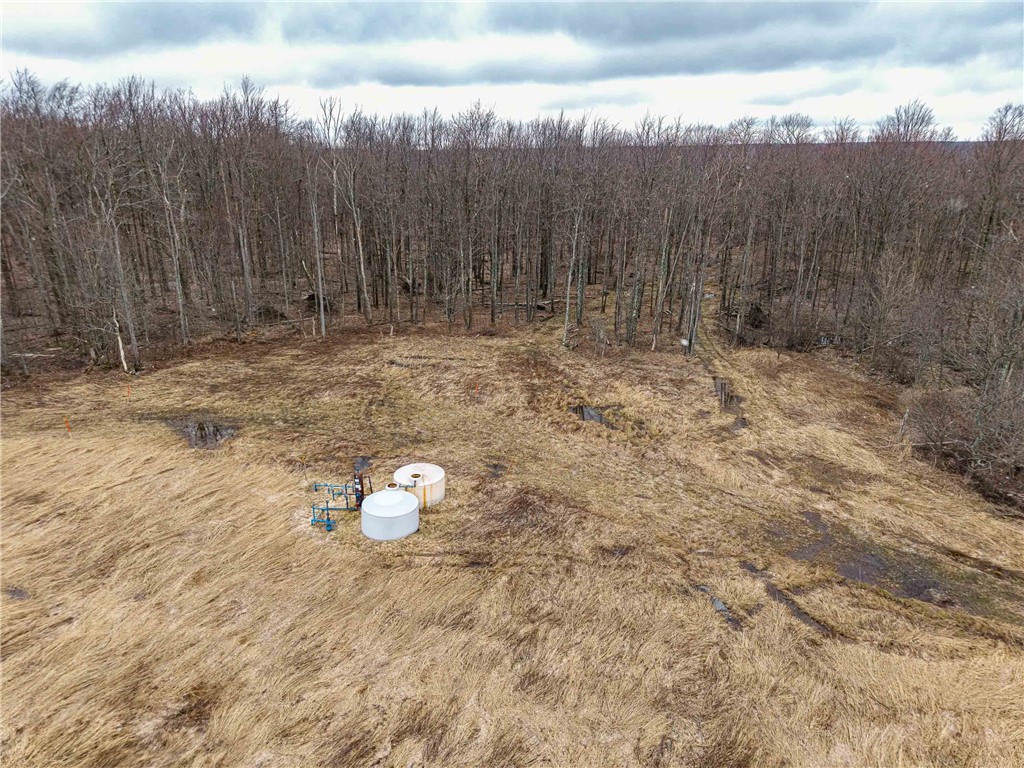 Engdahl Road Sinclairville, NY 14782 - Photo 2 of 41