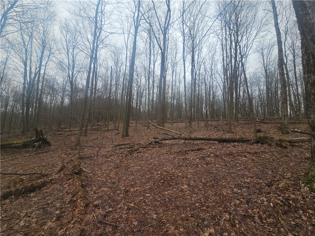 Engdahl Road Sinclairville, NY 14782 - Photo 28 of 41