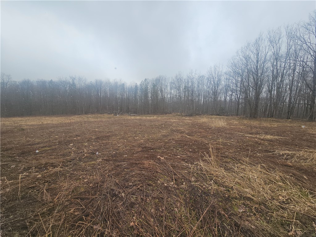 Engdahl Road Sinclairville, NY 14782 - Photo 29 of 41