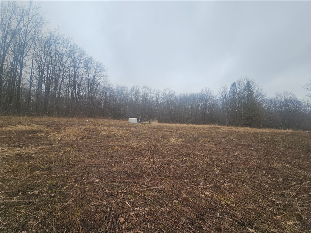 Engdahl Road Sinclairville, NY 14782 - Photo 30 of 41