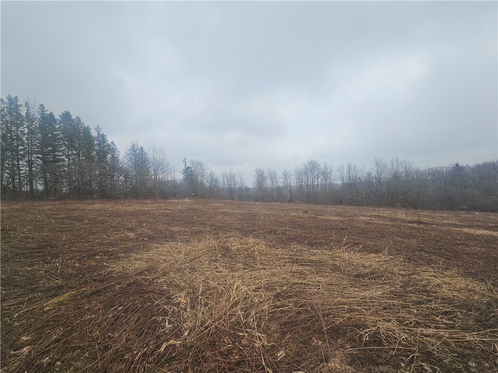 Engdahl Road Sinclairville, NY 14782 - Photo 31 of 41