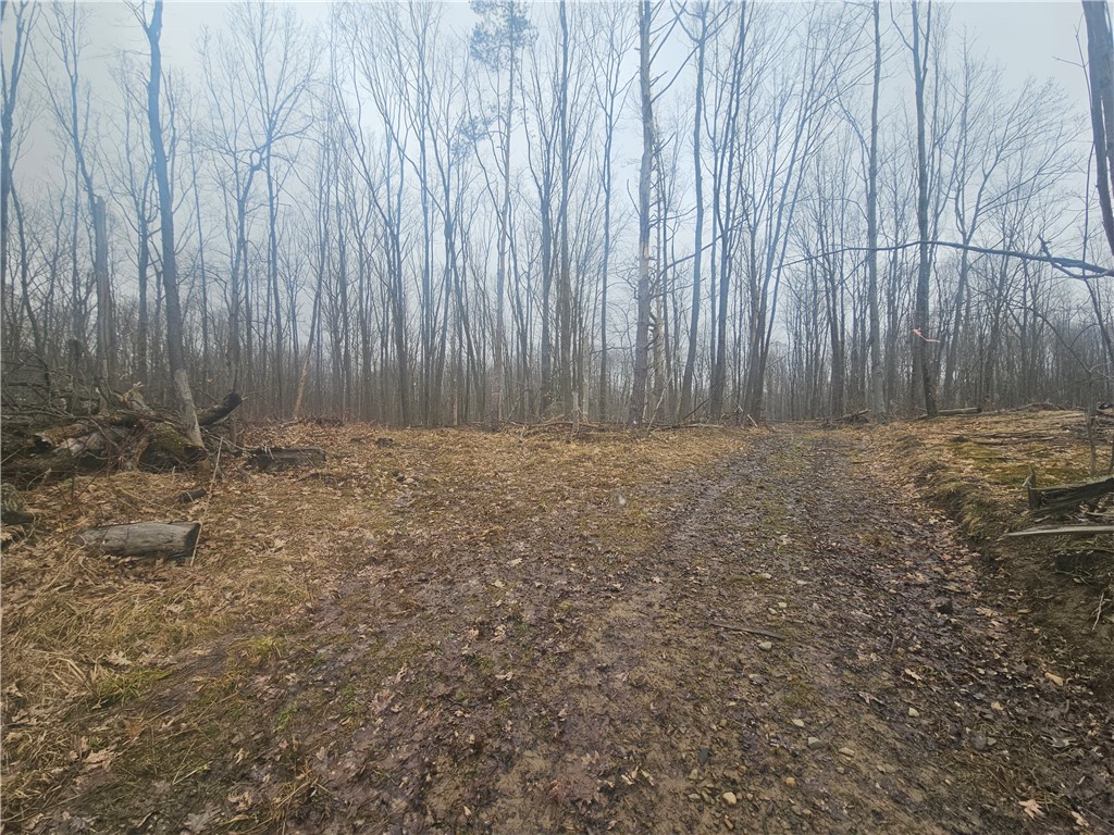 Engdahl Road Sinclairville, NY 14782 - Photo 32 of 41