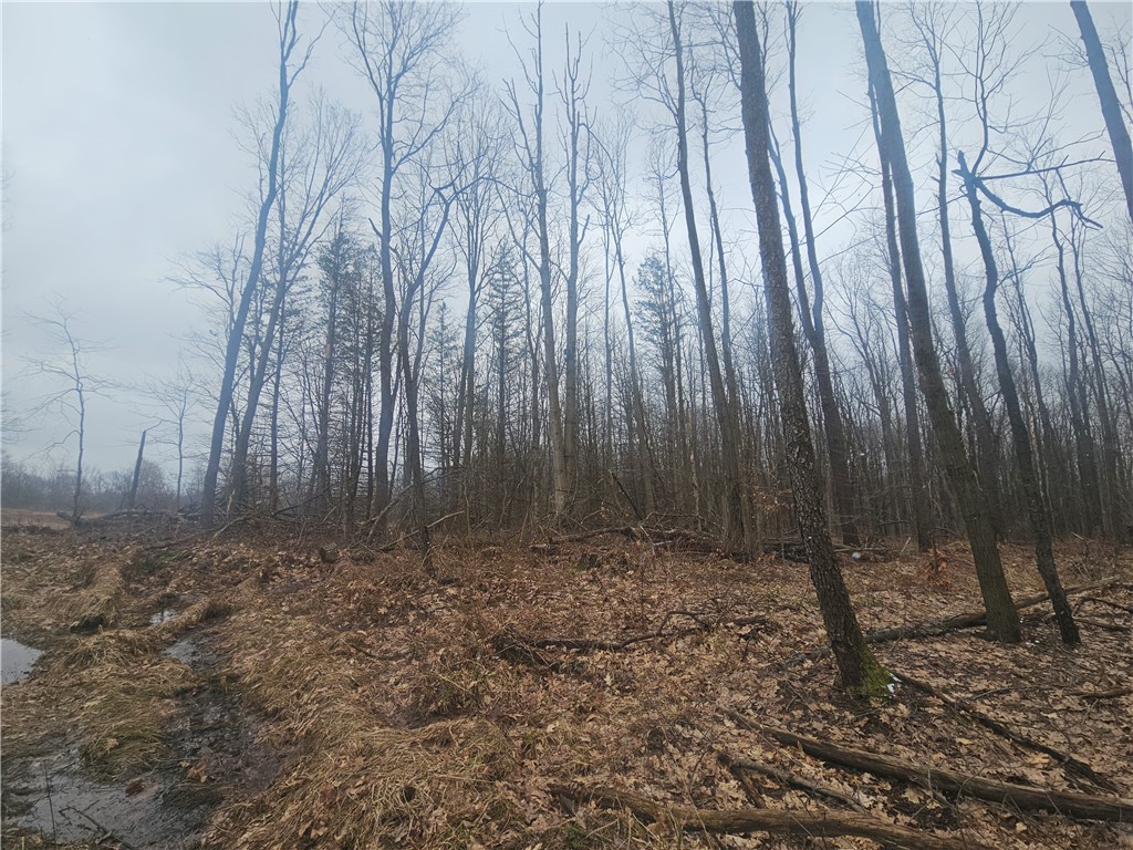 Engdahl Road Sinclairville, NY 14782 - Photo 33 of 41